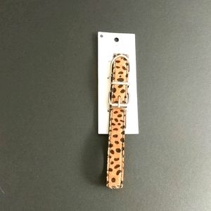 Friends Furever Leopard Print Pet Collar